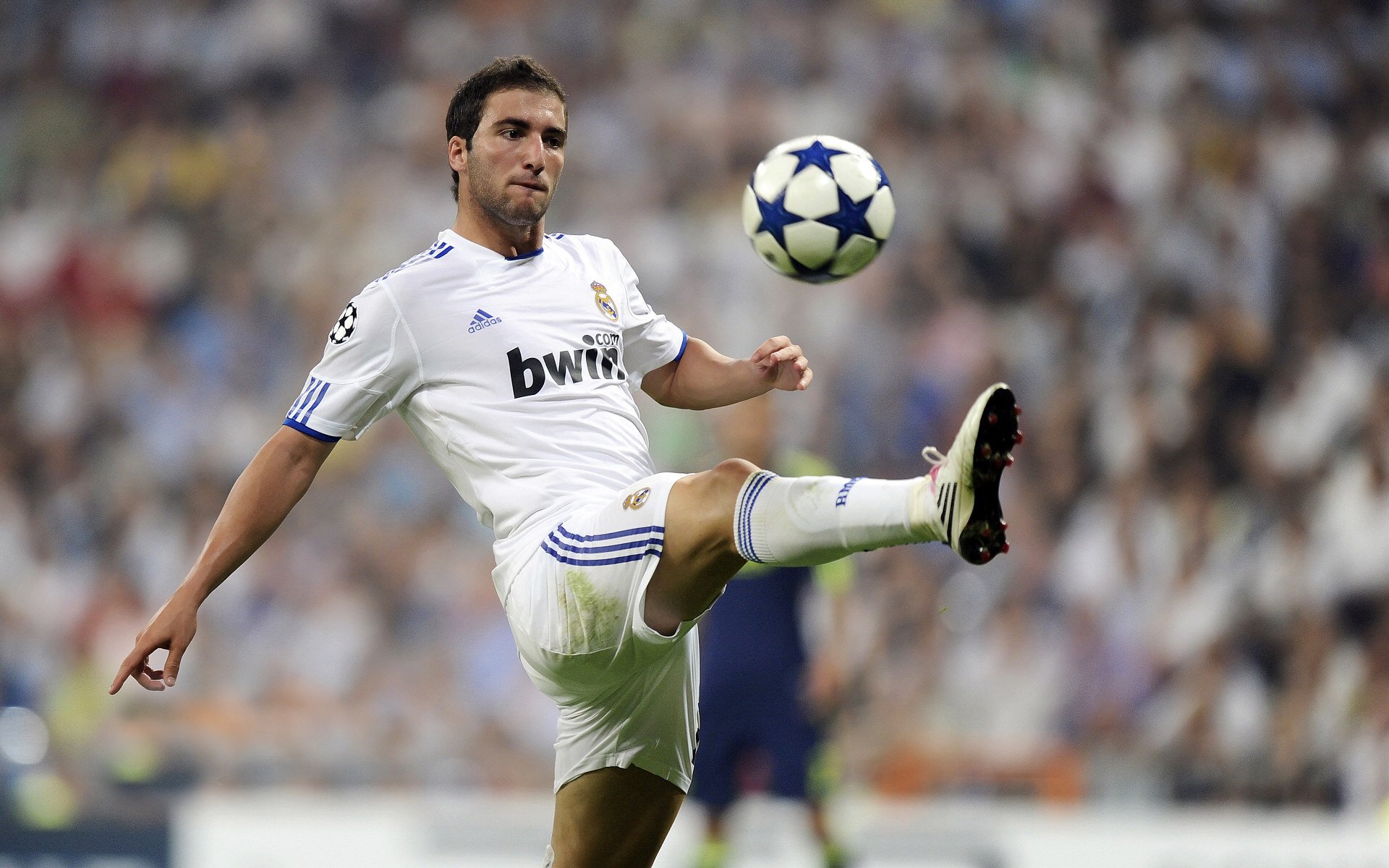 星空体育全站-体育慈善：球星与俱乐部的社会责任，体育慈善机构